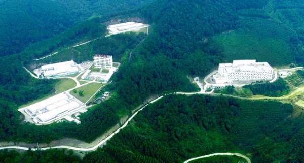 俊升配资 供不应求，中国猪业陷入“猪精难求”境地