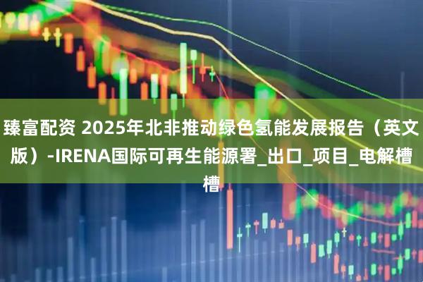 臻富配资 2025年北非推动绿色氢能发展报告（英文版）-IRENA国际可再生能源署_出口_项目_电解槽