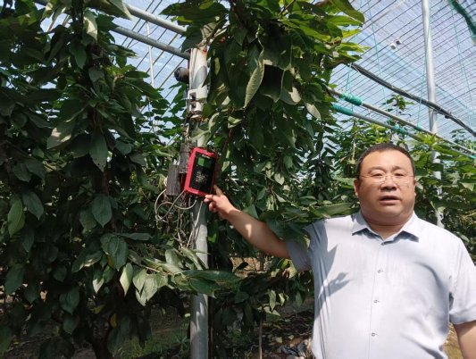 添盈聚富 刘晨：“甜蜜产业”赋能乡村振兴