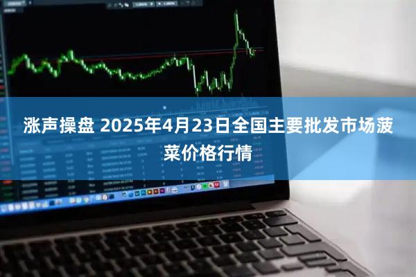 涨声操盘 2025年4月23日全国主要批发市场菠菜价格行情